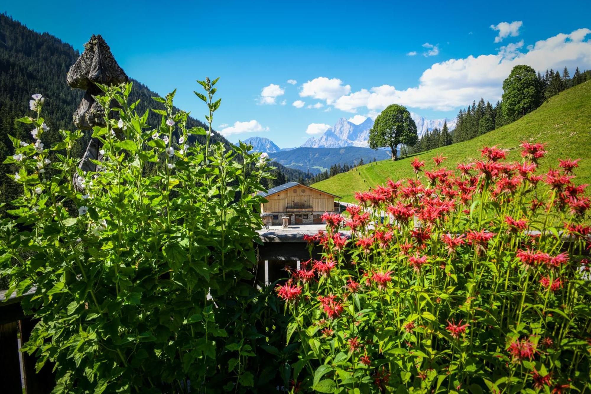 Strickhof Villa Schladming Eksteriør bilde