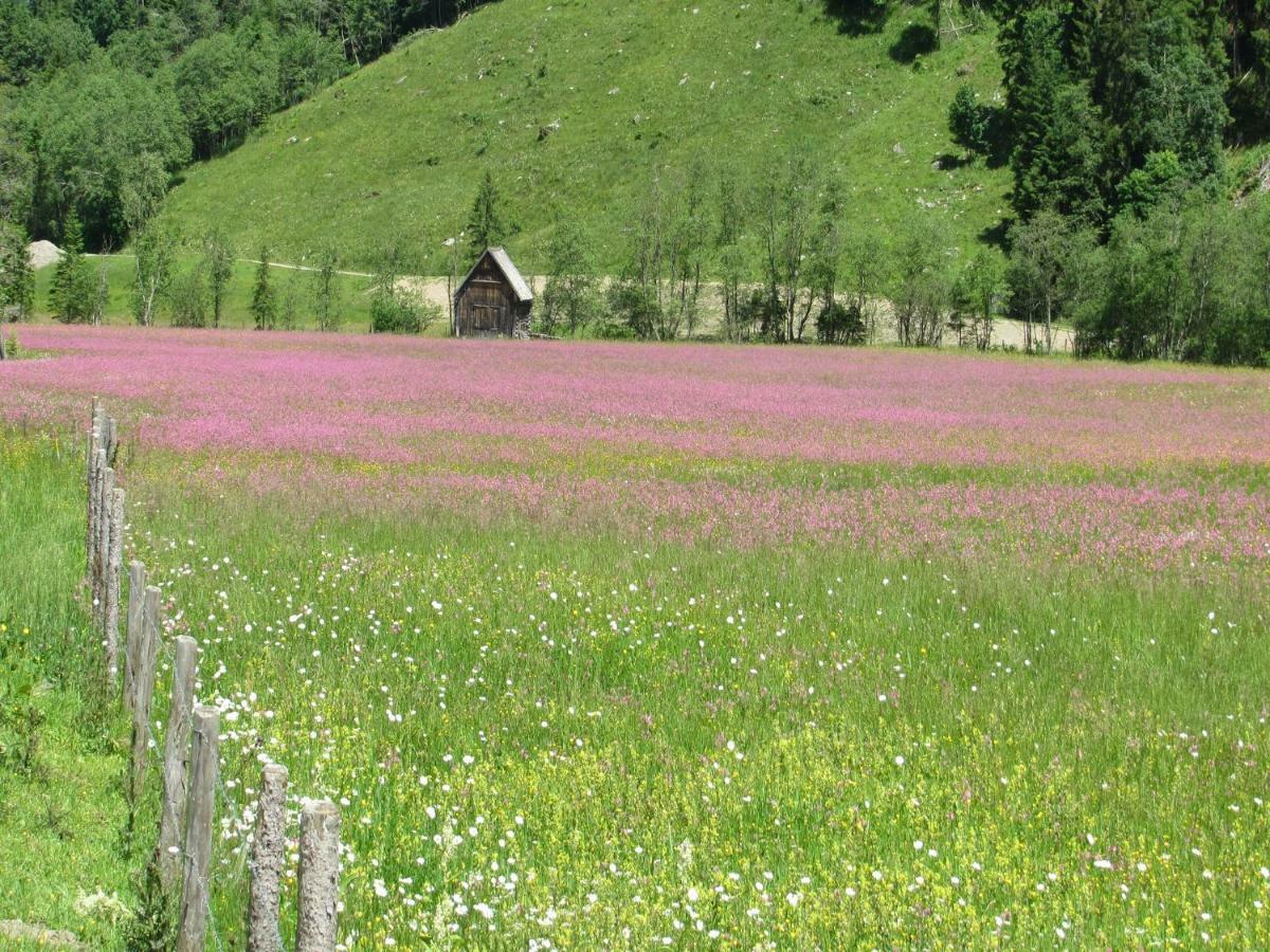 Strickhof Villa Schladming Eksteriør bilde